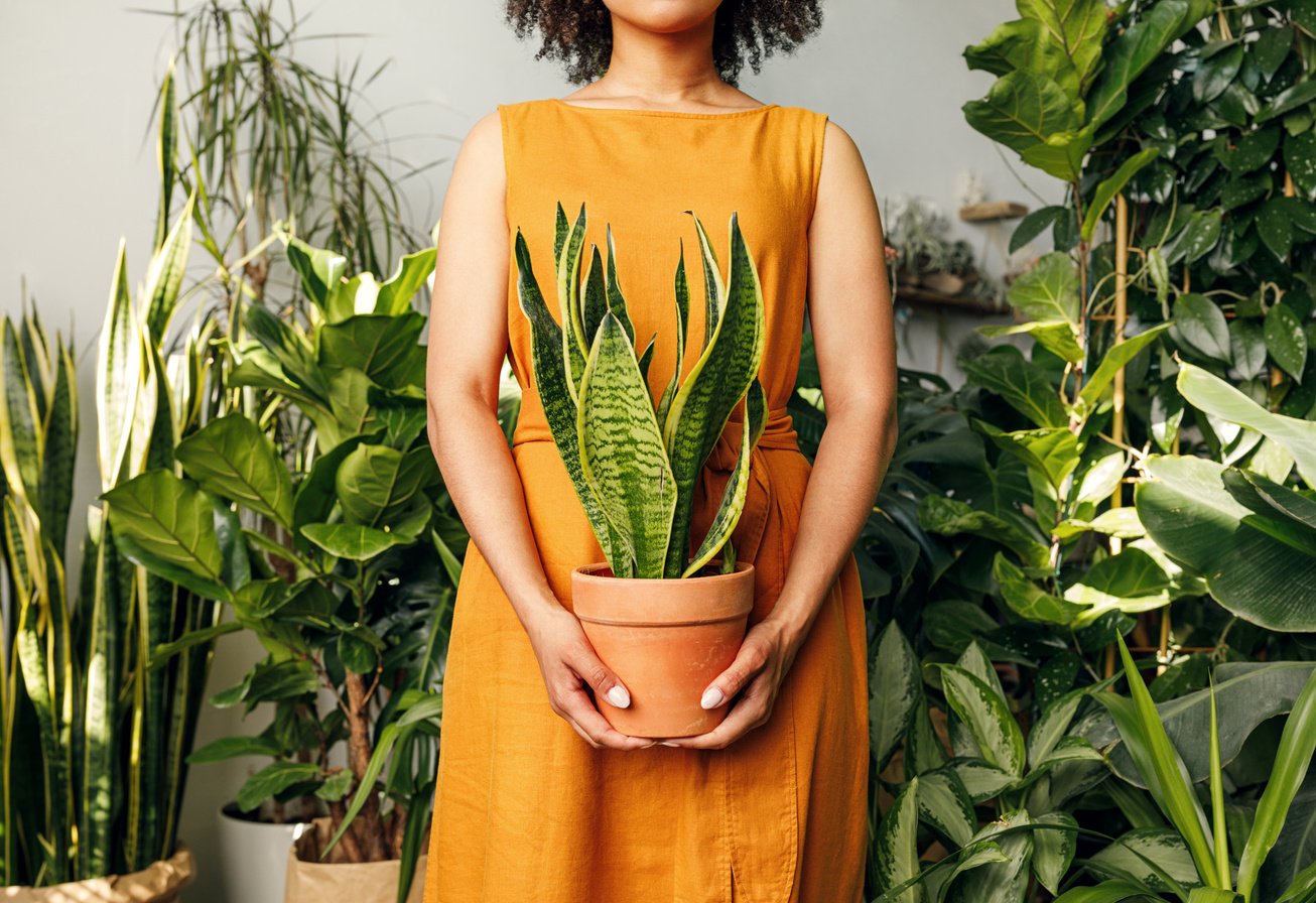 Woman Holding Plant in Garden